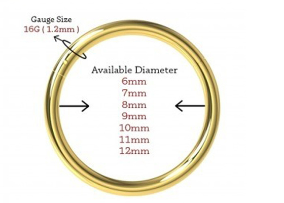 Dimensione provvista di cardini del classico 6-12mm di piercing del naso dell'oro di segmento 18K