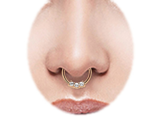 Anello di naso dell'anello, di 8mm e di 10mm del setto dell'oro dell'elica 14k per usura quotidiana