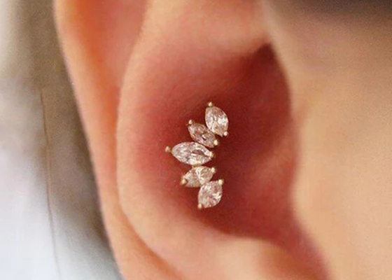 lunghezza perforante degli orecchini 6mm dei gioielli del corpo dell'oro di forma della corona 16g con il diamante di Mq